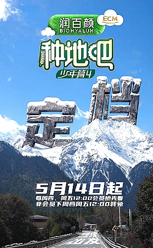 午夜来信海报