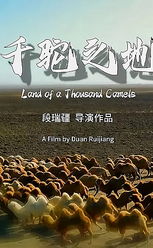 别后又逢春海报