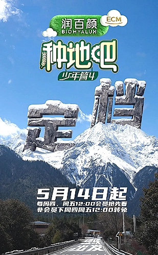 向海而行海报